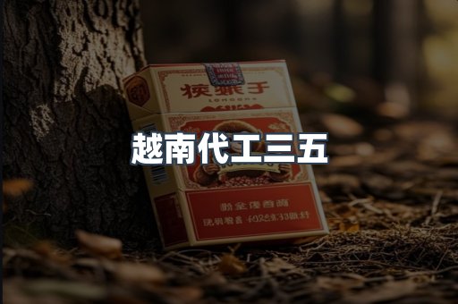 越南代工三五